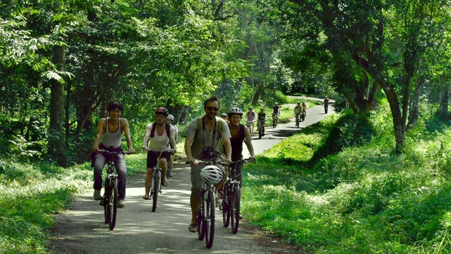 Esplora il Parco Nazionale Cuc Phuong in 3 giorni a Ninh Binh