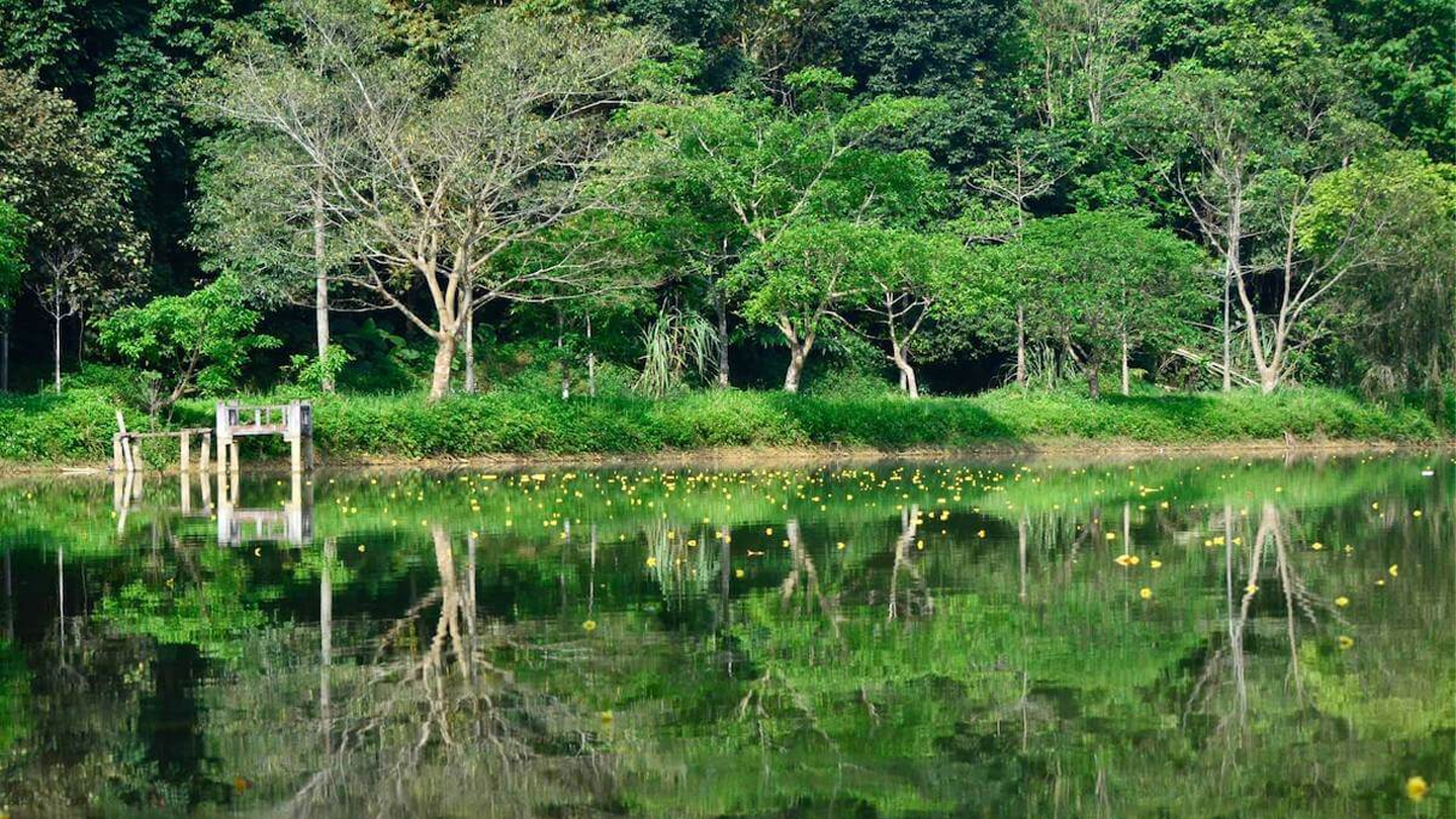 Parco nazionale di Cuc Phuong