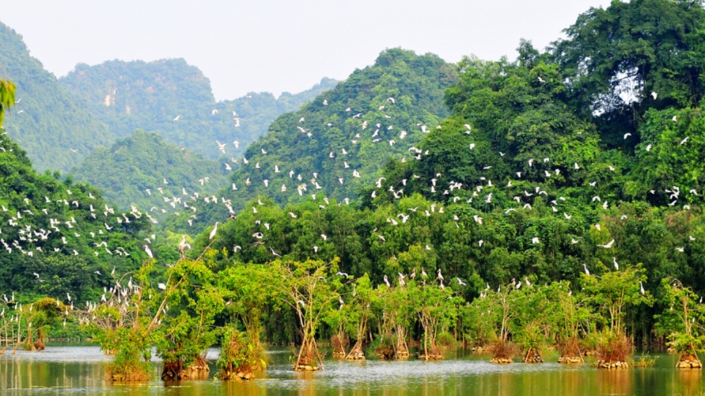 Il Parco degli Uccelli di Thung Nham