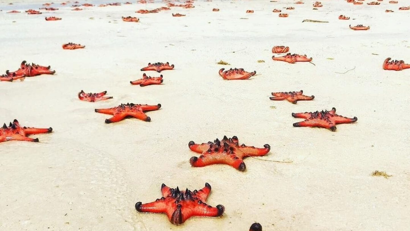Spiaggia di Sao - una delle spiagge più famose di Phu Quoc 
