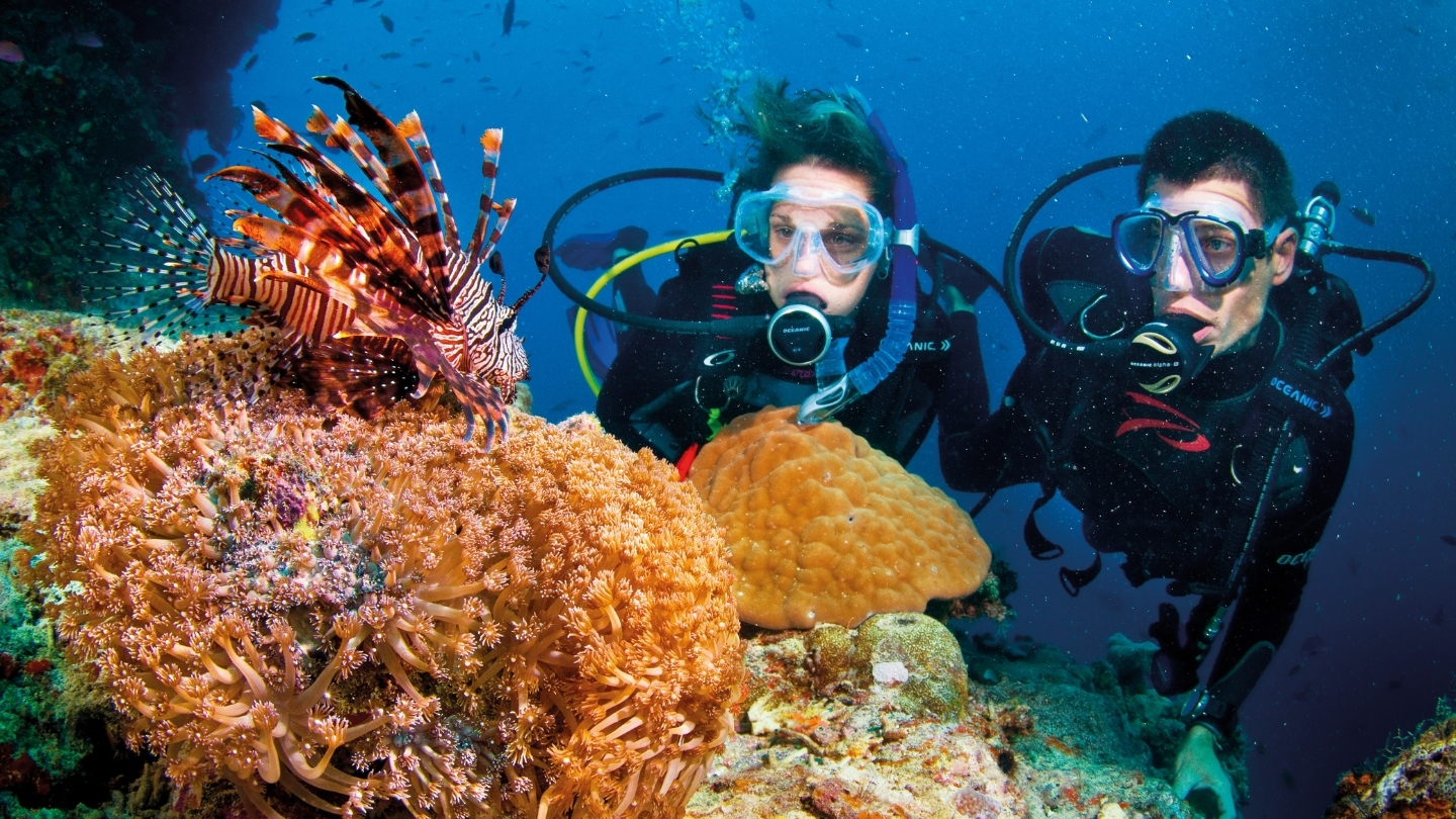 Immergersi per esplorare la meravigliosa barriera corallina 