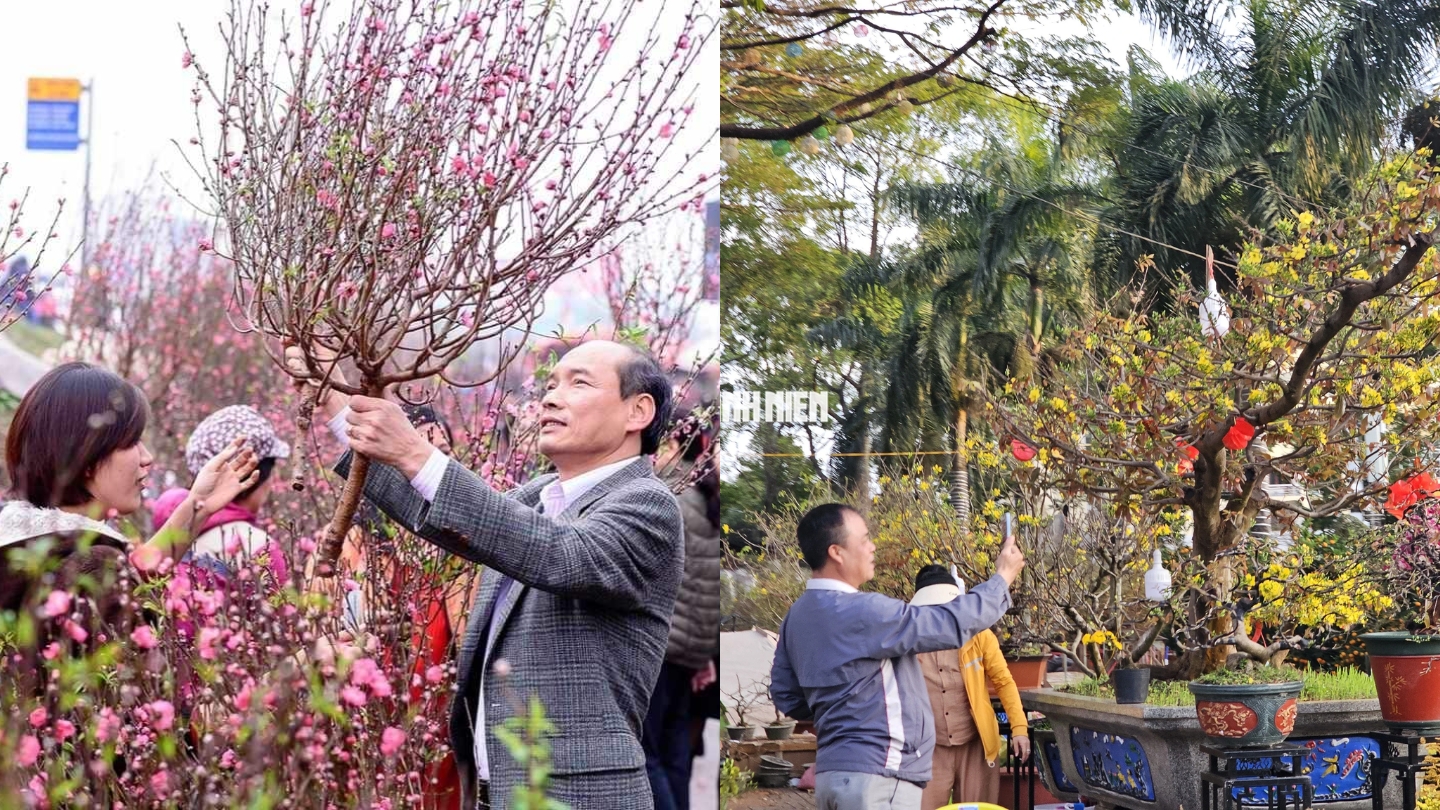 Portare in casa i colori della primavera
