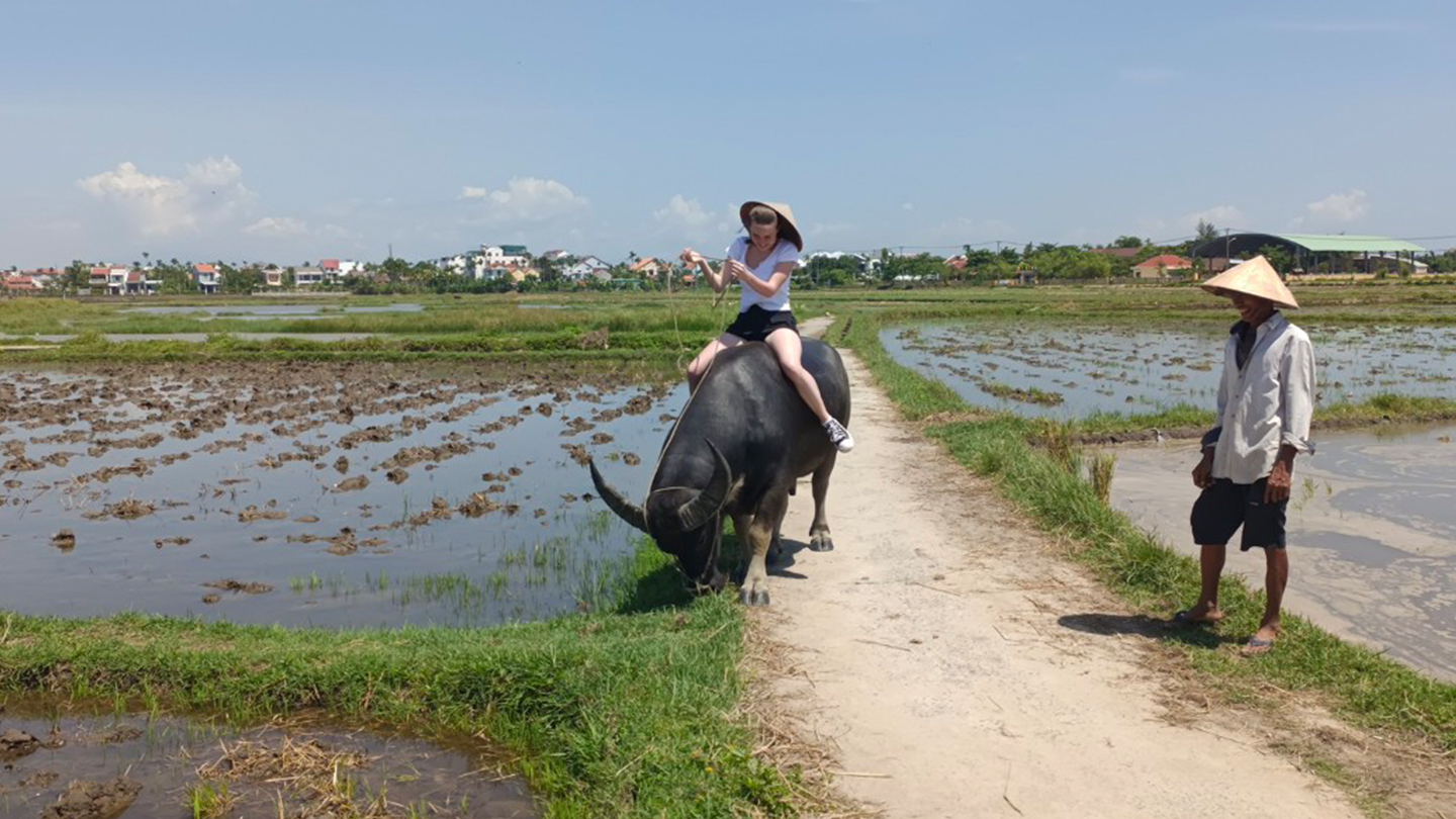  Tour vietnam agosto