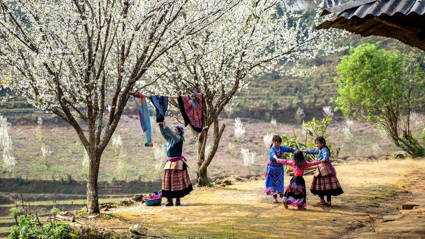 Vietnam a gennaio - dove andare e cosa vedere ? 