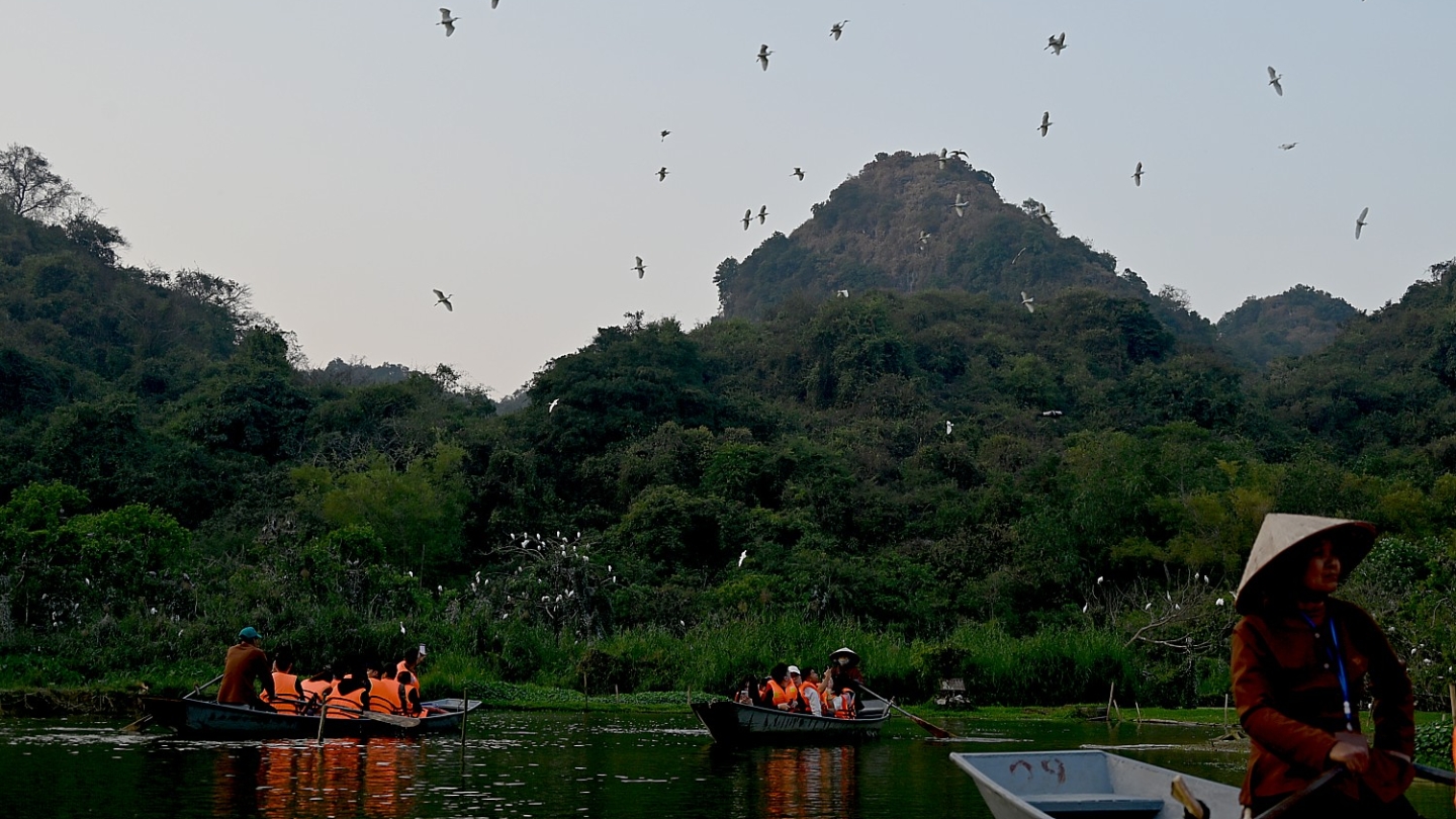 Thung Nham Ninh Binh