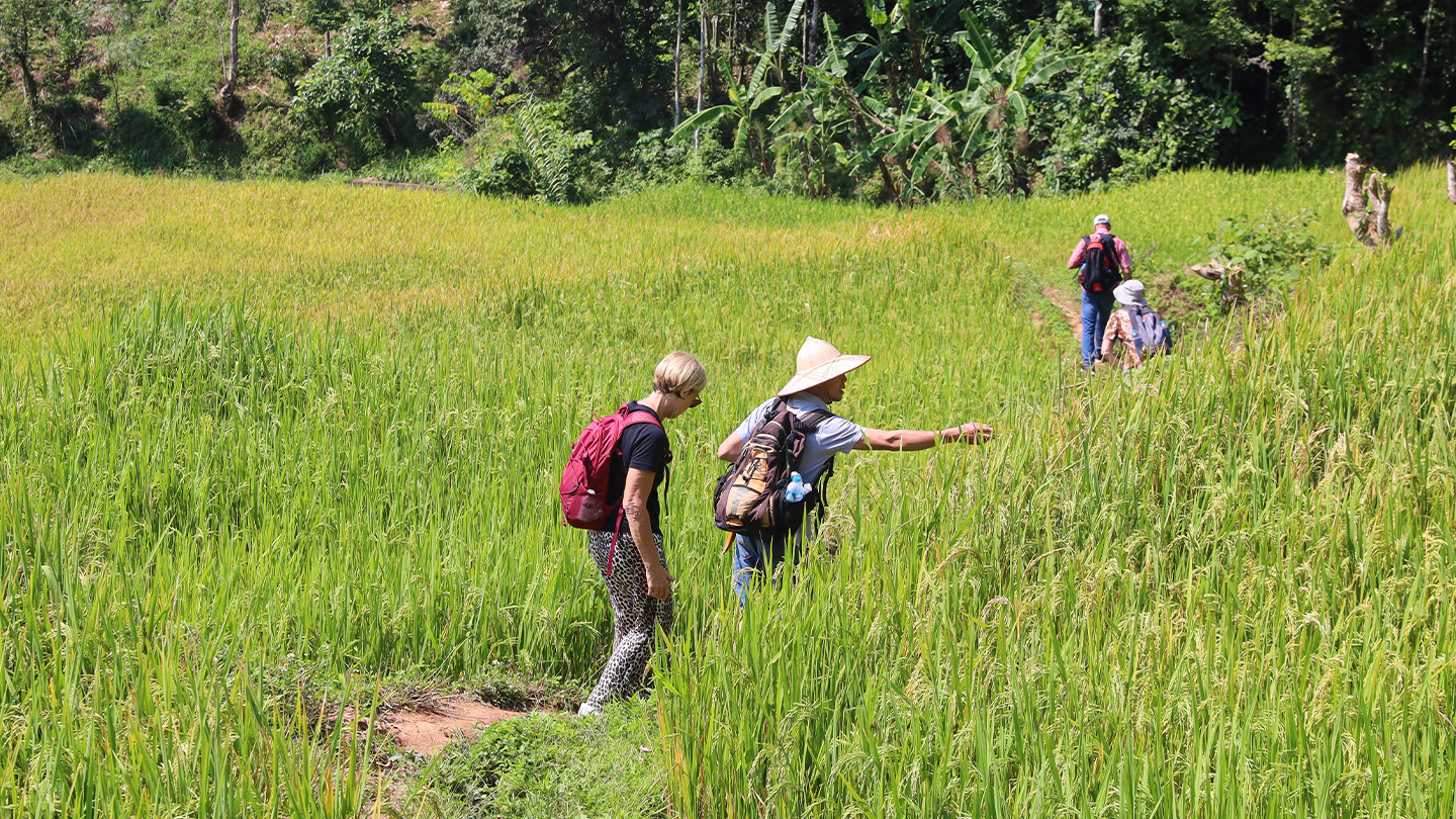 Mai Chau Vietnam