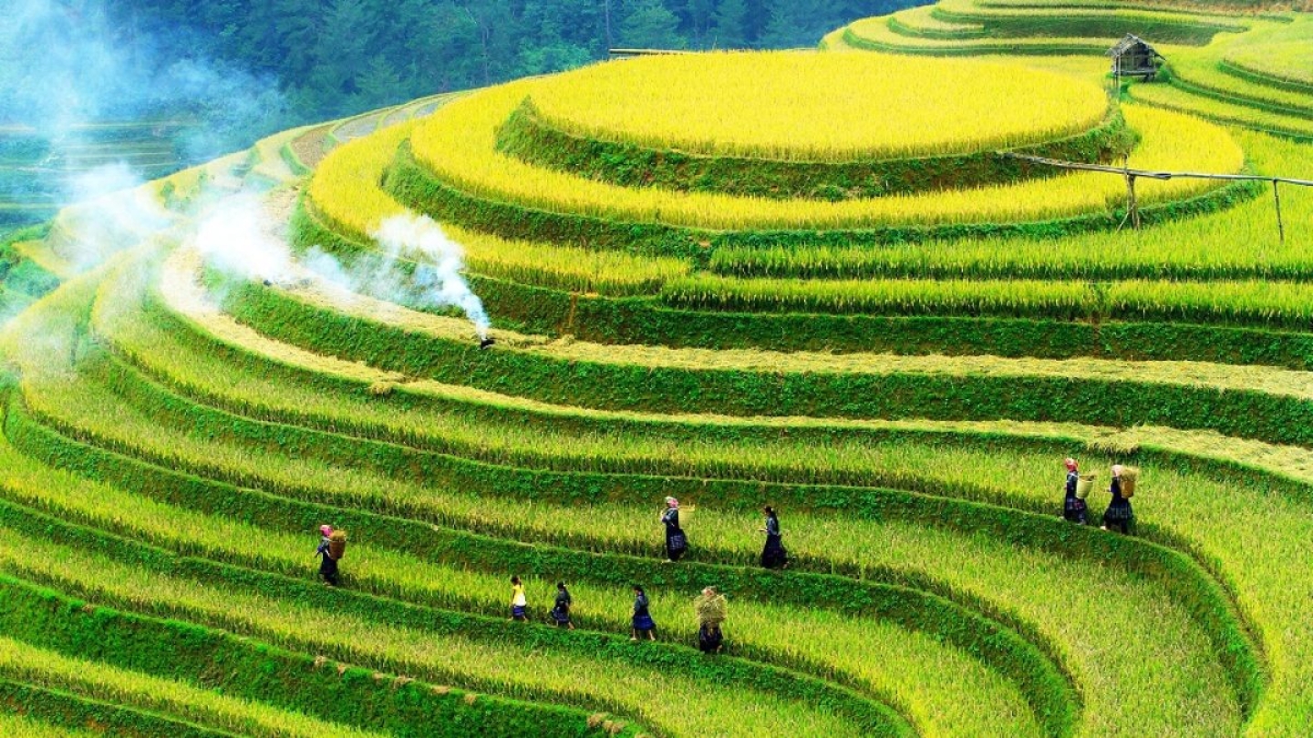 Qual è il mese migliore per andare in Vietnam?