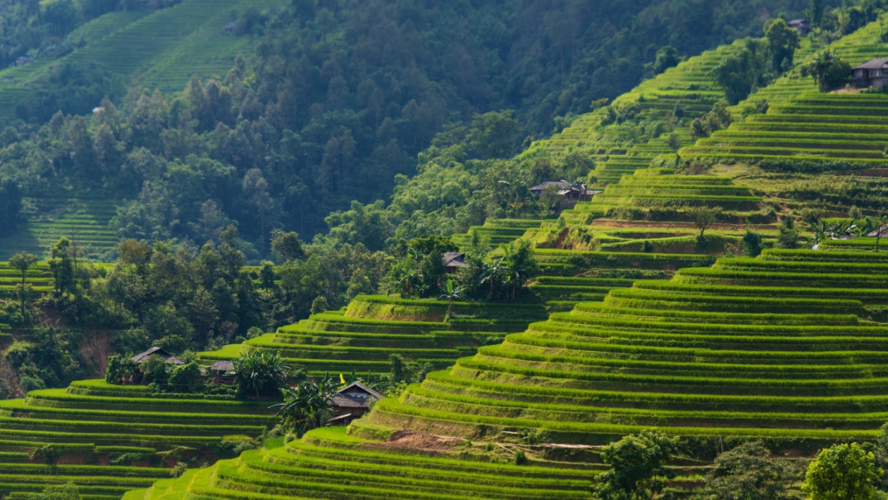 Ti chiedi quanto costa un viaggio in Vietnam?