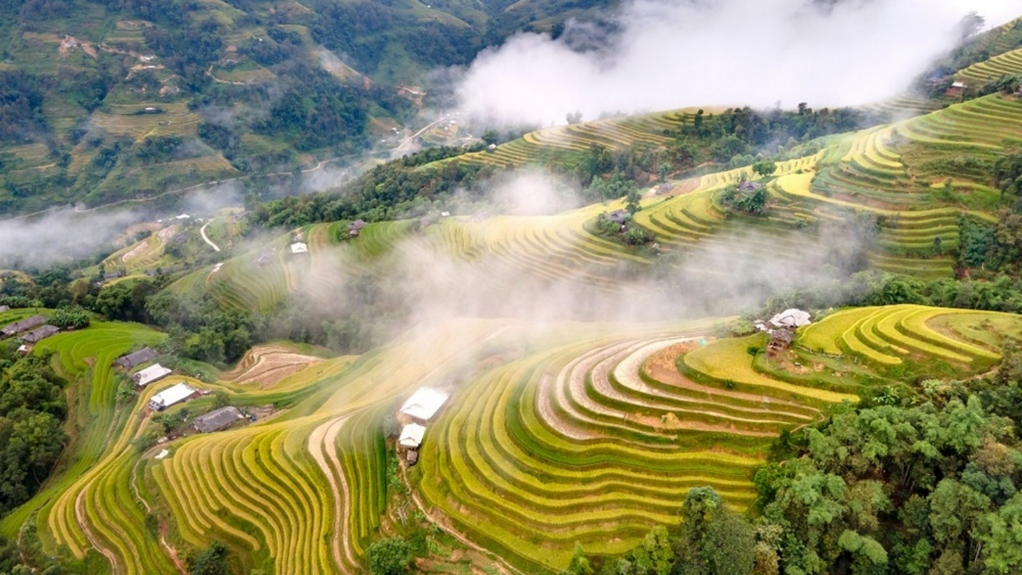 Il clima in Vietnam è sempre favorevole per i tuoi viaggi !