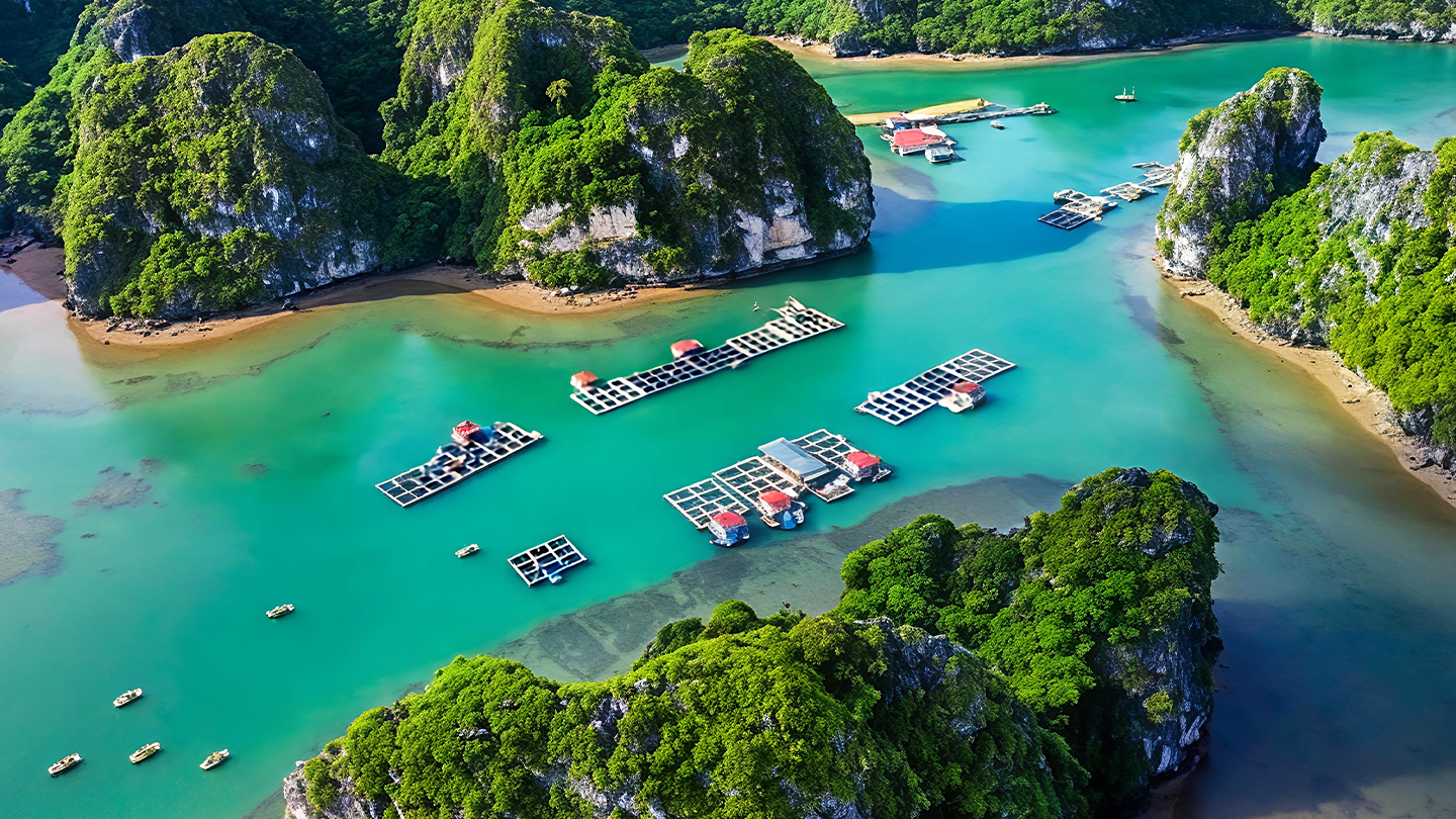 Vietnam 2 settimane Baia di Halong