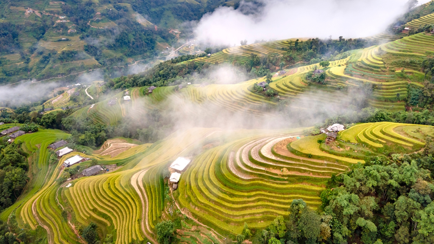Il clima in Vietnam ad agosto è sempre favorevole per il vostro viaggio