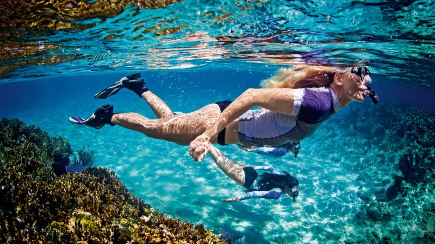 Fare snorkeling e immersioni nelle acque tropicali