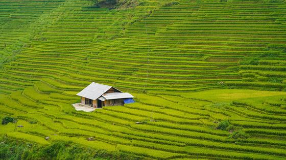 Dove dormire a Sapa? I 10 migliori Sapa homestay per alloggiare