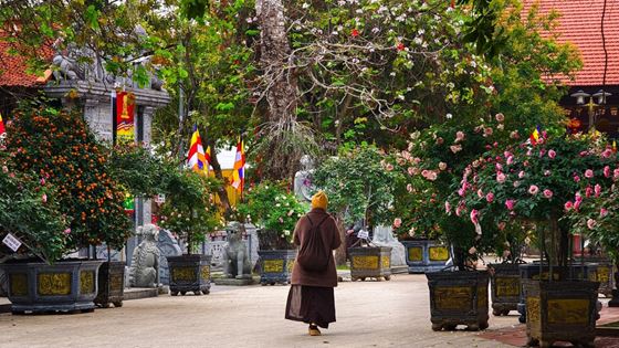 Top pagode ad Hanoi da non perdere durante il viaggio