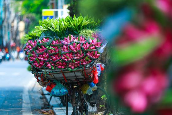 3 giorni a Hanoi - Cosa vedere a Hanoi in 3 giorni?