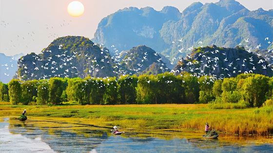 Cosa vedere a Tam Coc Ninh Binh? Top 10 migliori cose da fare