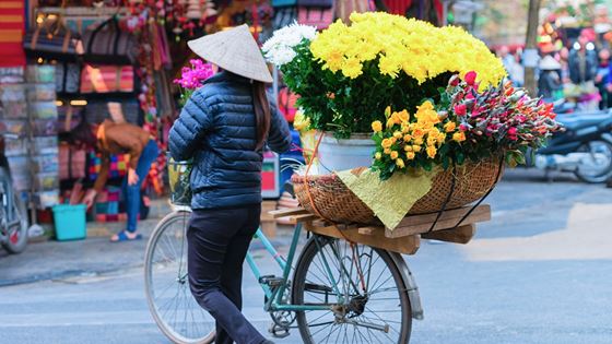 Tasso di cambio in Vietnam - Quanto vale 1 euro in dong vietnam