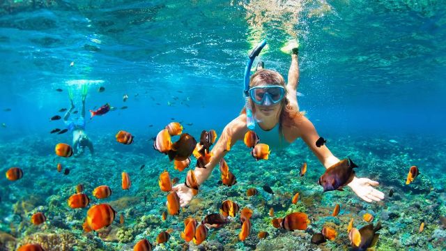  Escursione di snorkeling a Cu Lao Cham, Da Nang