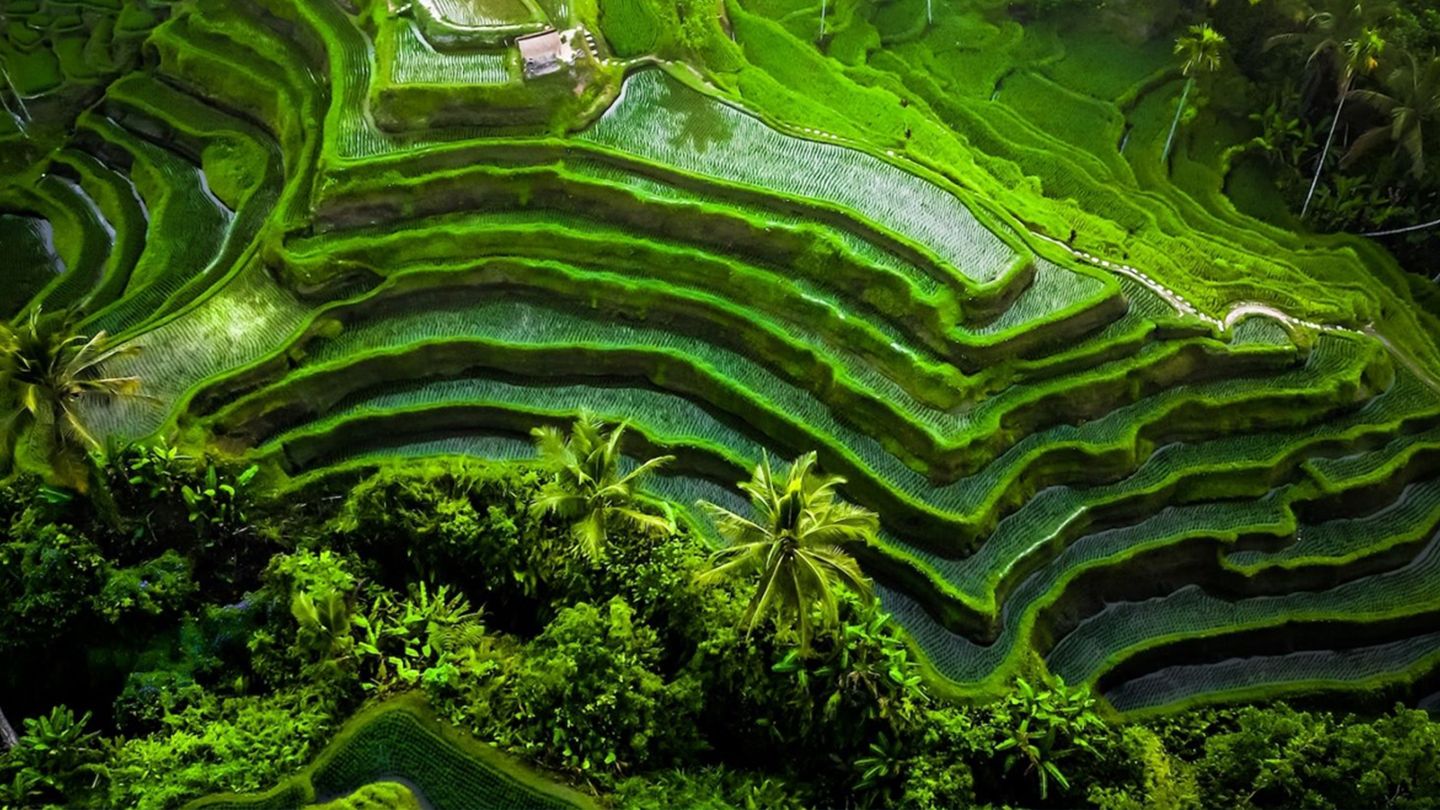Viaggio a Bali