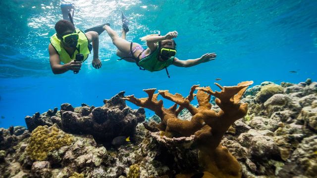 Fare snorkelling a Koh Rong