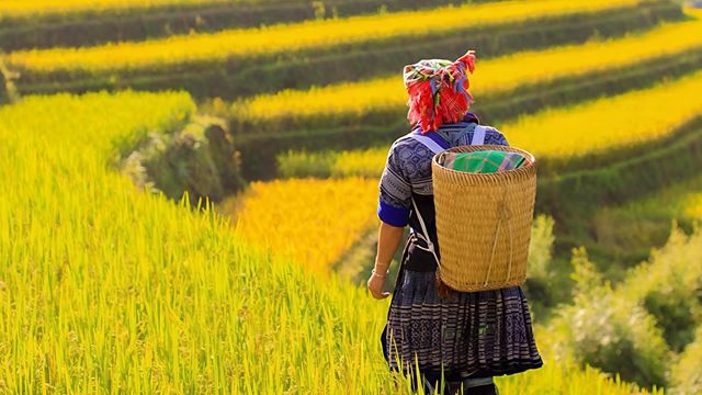 Tour Avventura in Vietnam – 14 Giorni e 13 Notti