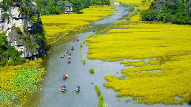 Fiume di Ngo Dong - Ninh Binh