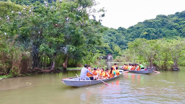 Santuario degli uccelli di Thung Nham, Ninh Binh