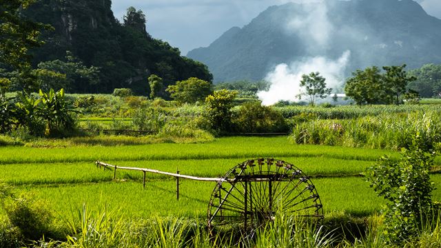Mai Chau e Pu Luong 3 Giorni 2 Notti – Trekking e Natura Autentica in Vietnam