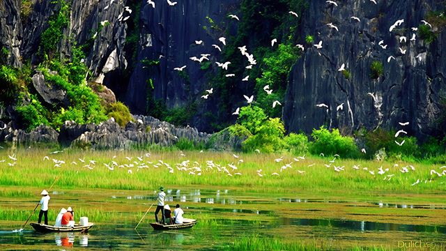 Parco degli Uccelli di Thung Nham