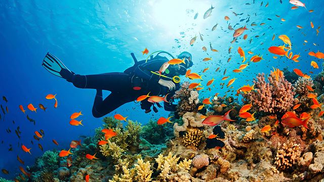 snorkeling Phú Quốc (Xuong Island)