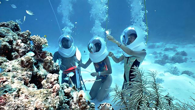 snorkeling Phú Quốc (Xuong Island)