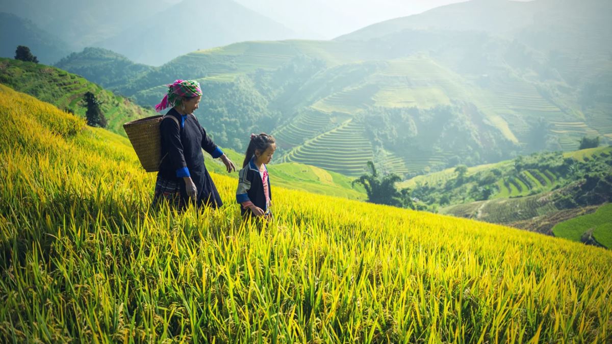 Trekking a Sapa, Vietnam