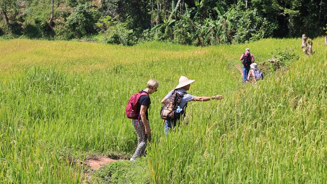 trekking nella valle di Mai Chau