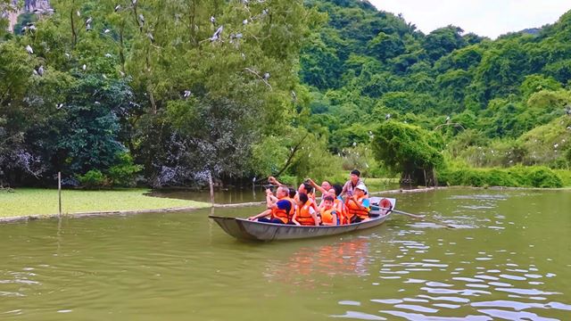 Santuario degli uccelli di Thung Nham, Ninh Binh