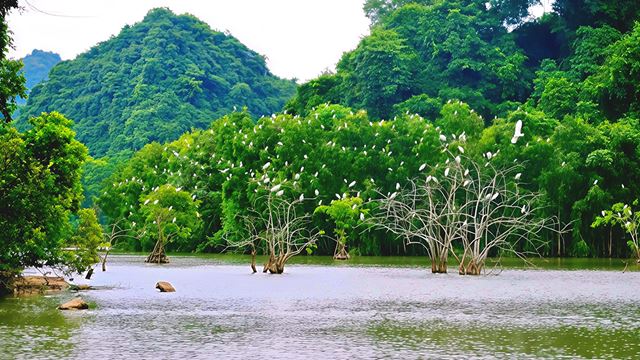 Parco degli Uccelli di Thung Nham