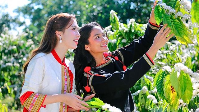 caffè di Buon Ma Thuot