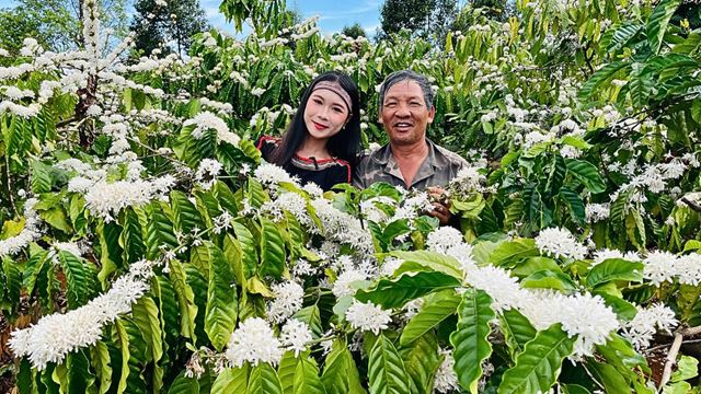caffè di Buon Ma Thuot