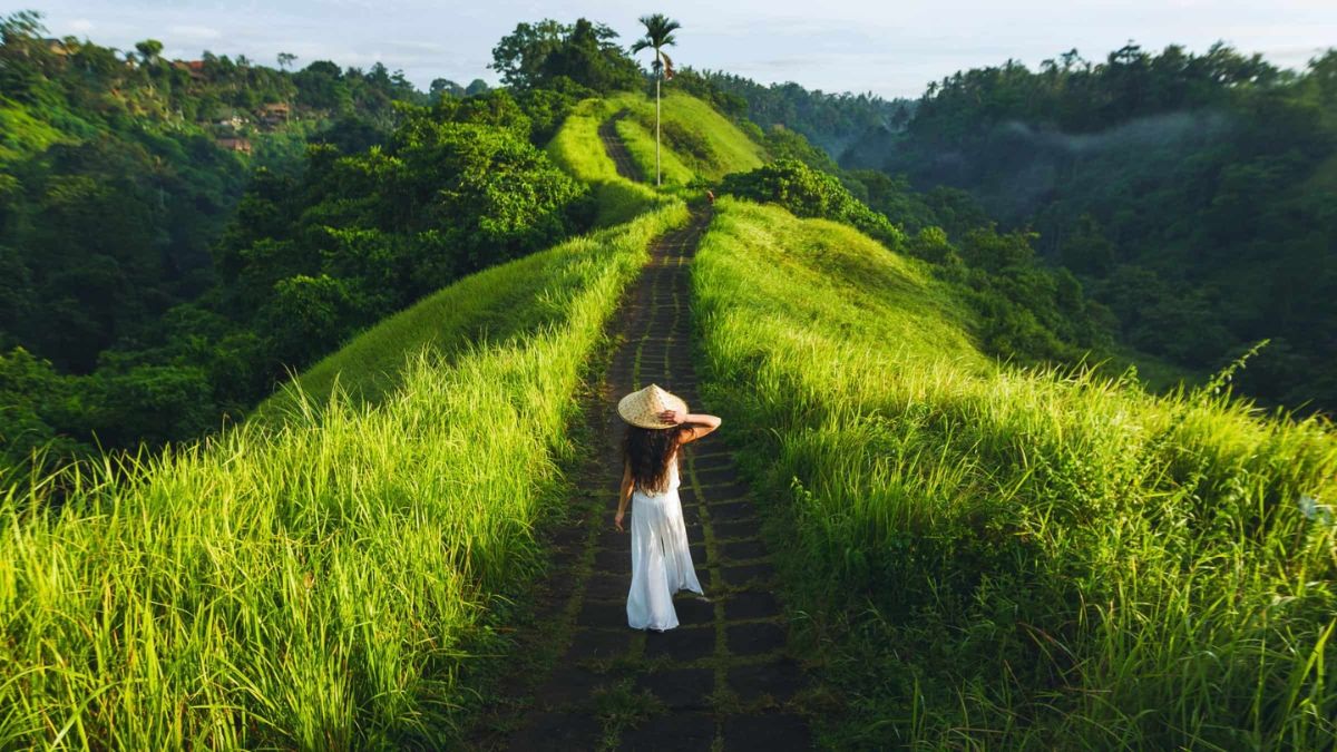 Campuhan Ridge Walk, Ubud