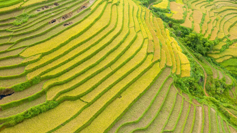 Ha Giang Loop in autobus da Hanoi: 4 giorni / 3 notti tra montagne e villaggi autentici