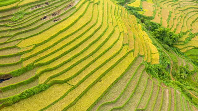 Ha Giang Loop in autobus da Hanoi: 4 giorni / 3 notti tra montagne e villaggi autentici