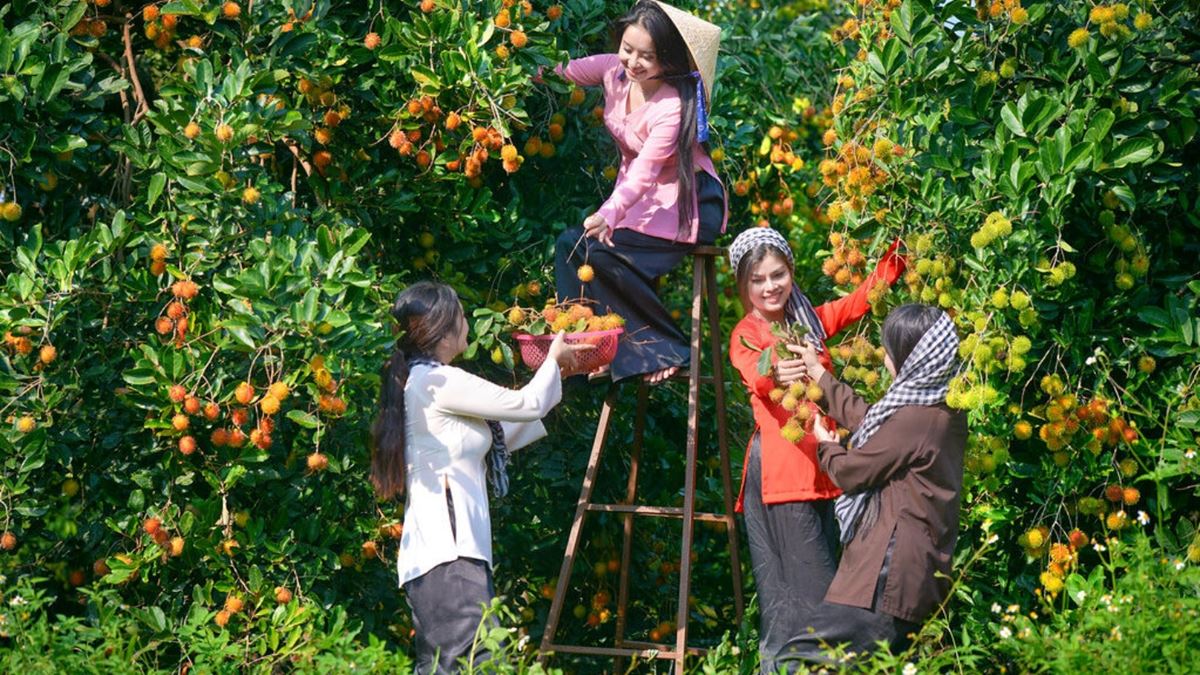 degustazione di frutta tropicale in un frutteto locale nel Delta del Mekong
