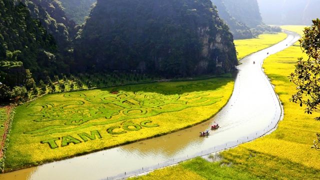 Risaie terrazzate a Ninh Binh