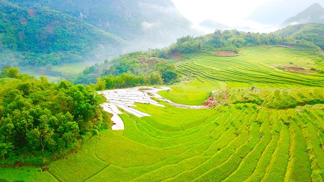 Risaie terrazzate a Pu Luong