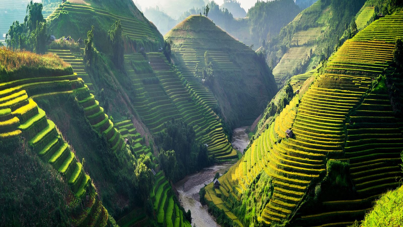Pacchetti viaggio Vietnam
