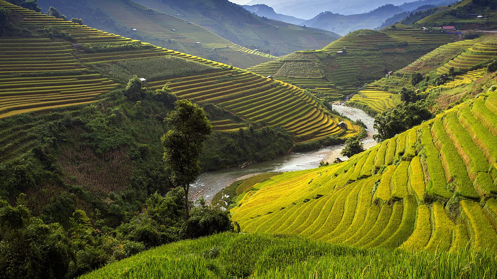 Vietnam 2 settimane