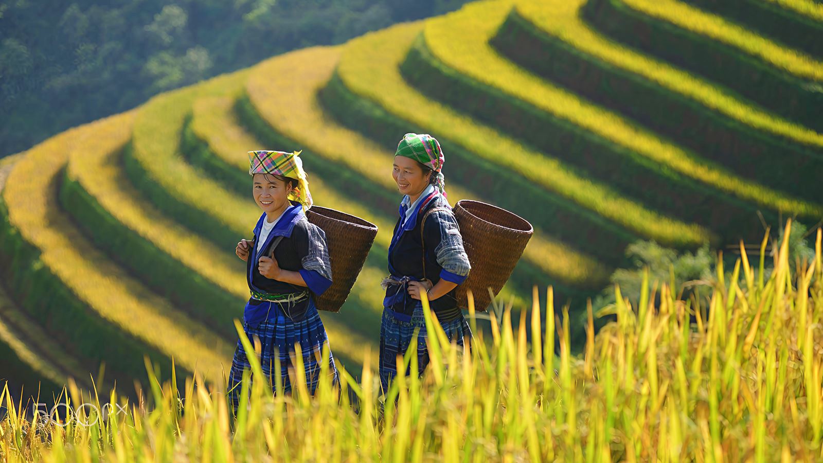 Tour Vietnam del nord