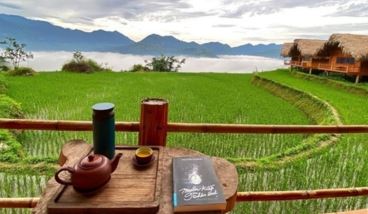 hoang su phi