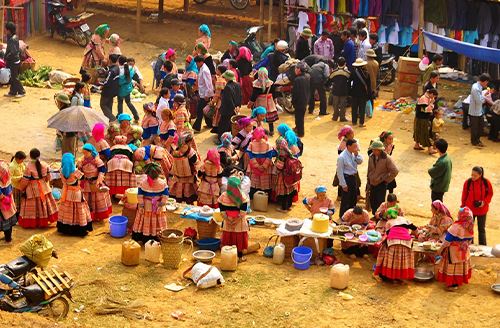Sapa