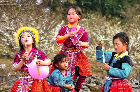 Viaggio indimenticabile alla scoperta di Vietnam 17 giorni 16 notti