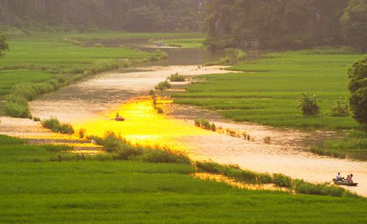 tam coc